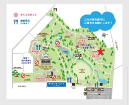 浜松ワイン会　お花見